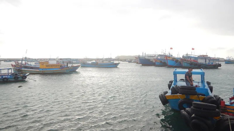 Tàu Panama gặp nạn cách đảo Phú Quý khoảng 1,5 hải lý.