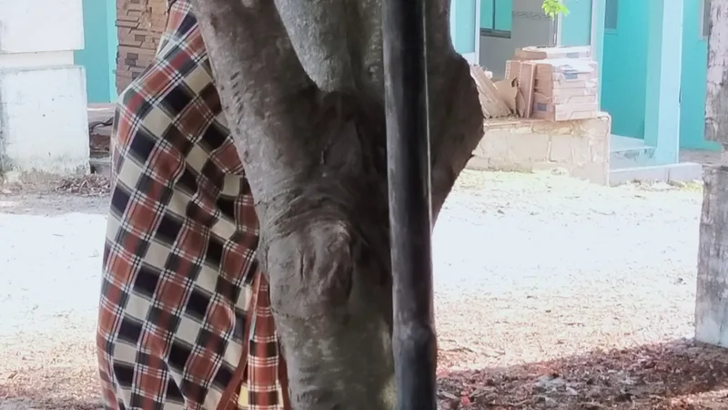 Hiện trường vụ việc.