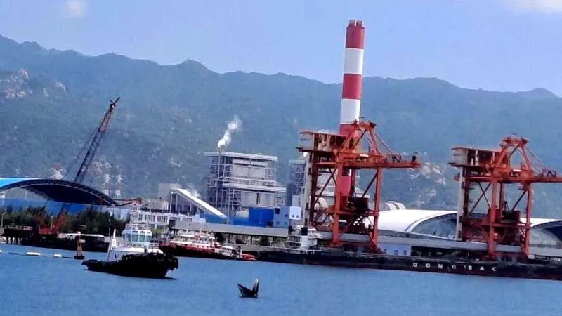 Cá voi xuất hiện trên vùng biển Bình Thuận
