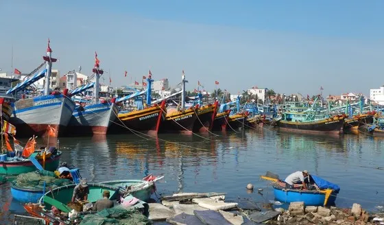 Tỉnh Bình Thuận hiện có khoảng trên 7.500 tàu cá chiều dài từ 6m trở lên hoạt động trên biển