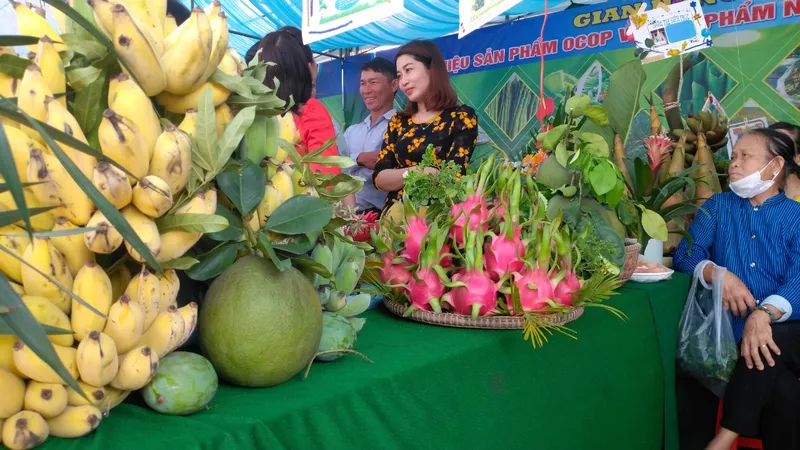 Những sản phẩm nông nghiệp đặc thù, đặc biệt là trái thanh long của huyện Hàm Thuận Bắc.
