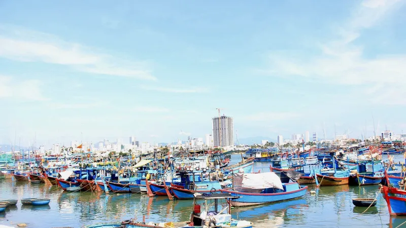 Khánh Hòa tăng cường quản lý, kiểm tra, xử lý các hành vi vi phạm IUU