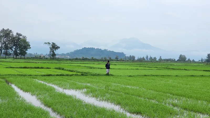 Khánh Hòa chuyển đổi hàng nghìn hecta đất phi nông nghiệp sang đất nông nghiệp