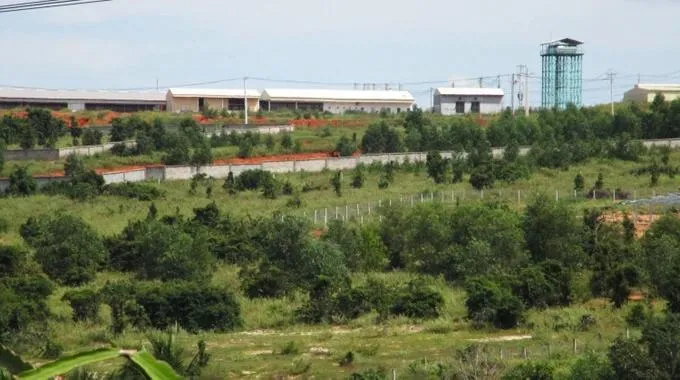 Các trang trại chăn nuôi heo của Công ty TNHH Làng Việt Nam xả thải ra môi trường không đúng theo quy định