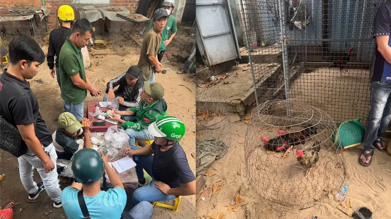 Lực lượng chức năng làm việc với các đối tượng tham gia đá gà ăn tiền