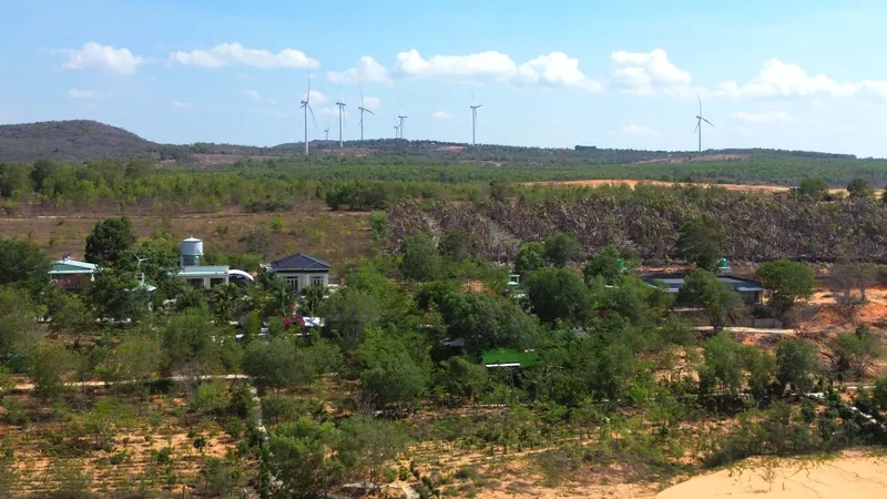 Khoảng 73.000m2 đất tại khu vực giáp ranh thắng cảnh nổi tiếng đồi Cát Bay Mũi Né (phường Mũi Né) đã bị nhiều đối tượng lấn chiếm