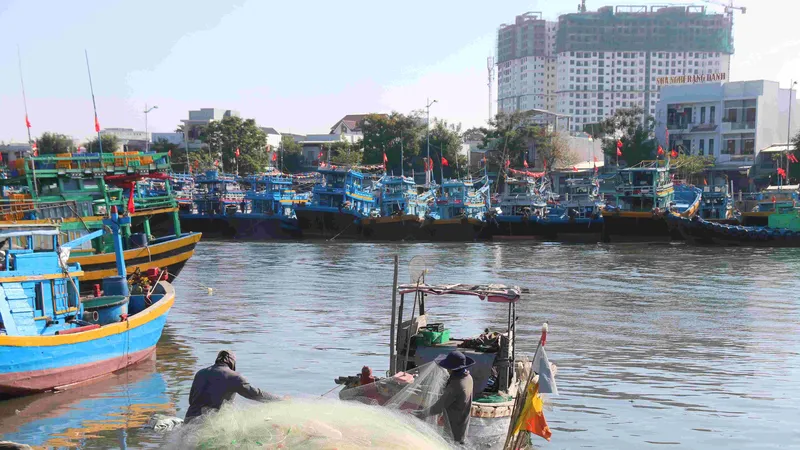 Lâm Đồng hiện là 1 trong 3 ngư trường trọng điểm của cả nước