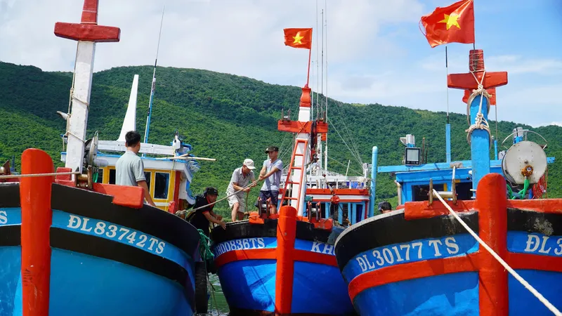 Tàu thuyền tỉnh Khánh Hòa được phép hoạt động trở lại