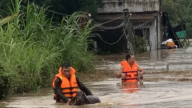 Lực lượng chức năng di chuyển tài sản của người dân đến nơi an toàn