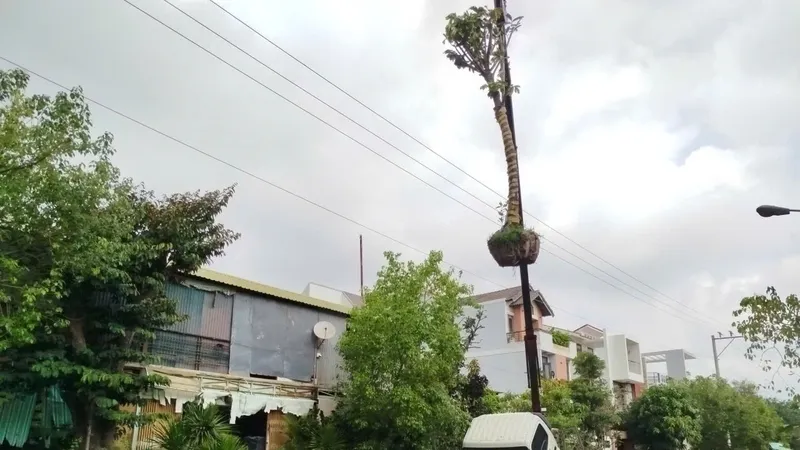 Hiện trường vụ việc