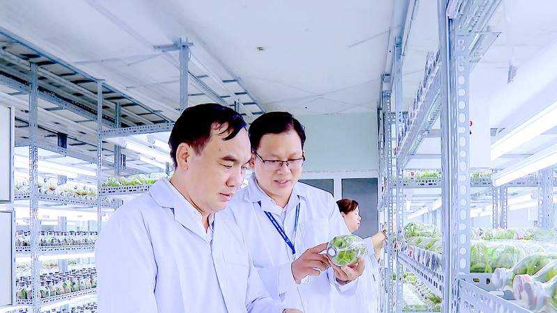 Ho Chi Minh City builds global ambitions in biotechnology