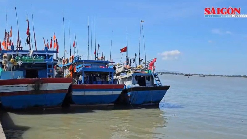 Fishing trip digitization aids Vietnam's push to lift IUU yellow card