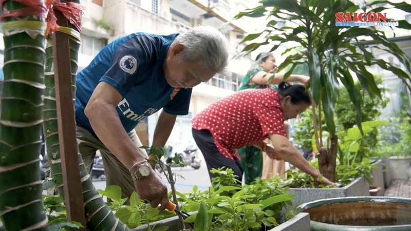 Residents unite to turn alleyways into green, blooming space in Ho Chi Minh City