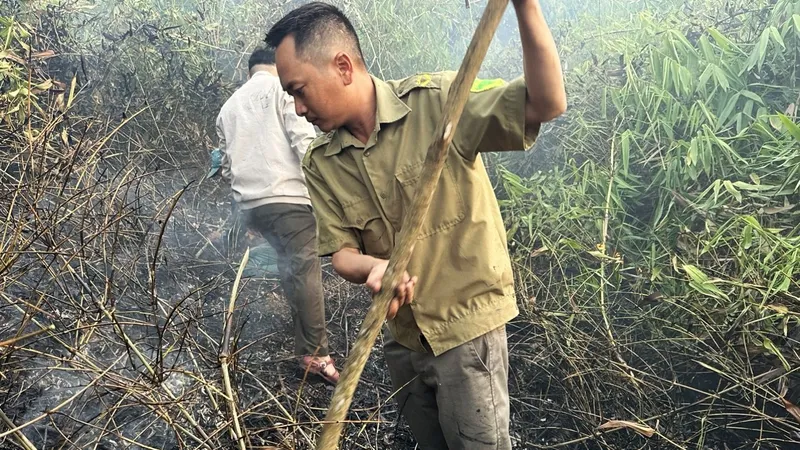 Lực lượng chức năng phối hợp người dân dập lửa cháy rừng tại thôn 11, xã Đại Lào, TP Bảo Lộc, tỉnh Lâm Đồng. Ảnh: ĐOÀN KIÊN