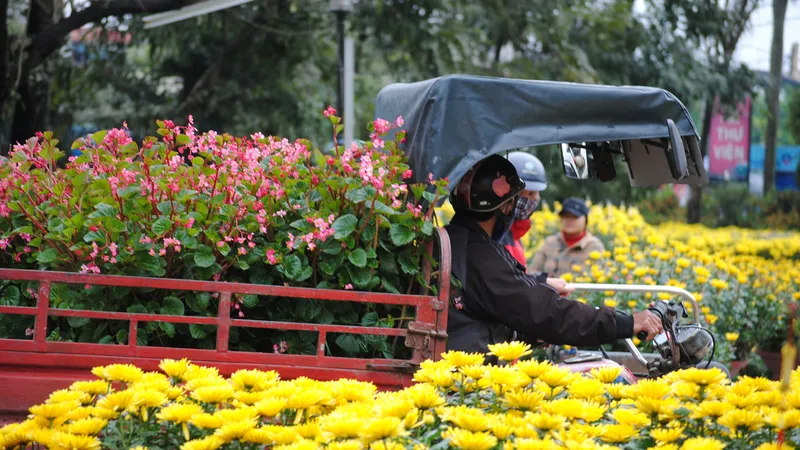 Người dân Cố Đô đội mưa đi chợ hoa Tết