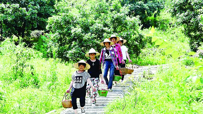 Lễ hội thu hoạch đầu tiên của Trung Quốc