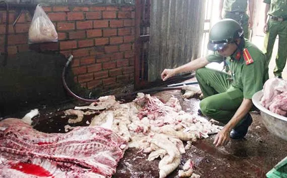 Gà và heo lậu tăng mạnh cuối năm