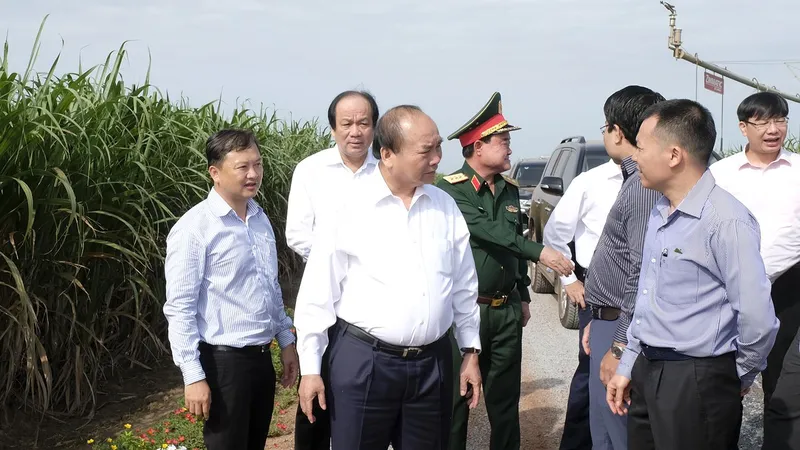 Thủ tướng thăm cánh đồng mía tại xã Thành Long, huyện Châu Thành. Ảnh: VGP/Quang Hiếu