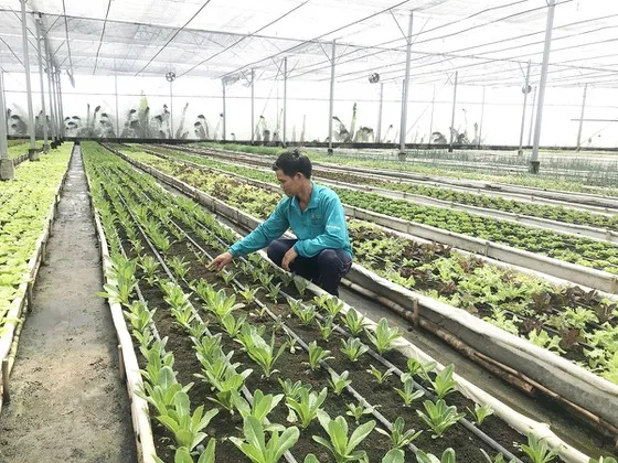 Đề nghị được xây dựng công trình phục vụ nông nghiệp trên đất trống
