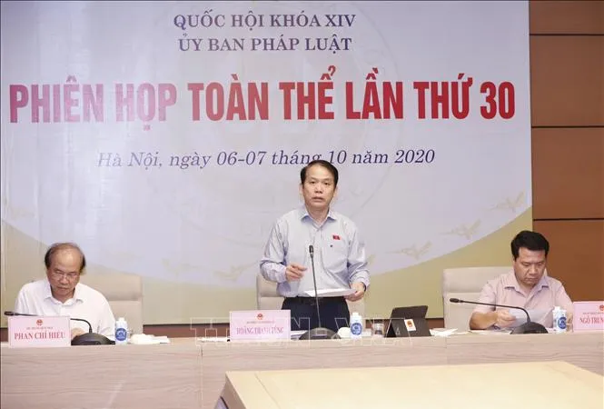 Chủ nhiệm Ủy ban Pháp luật của Quốc hội Hoàng Thanh Tùng phát biểu. Ảnh: TTXVN