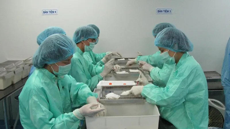 Tháng 6-2020, VABIOTECH đã thử nghiệm vaccine COVID-19 trên chuột