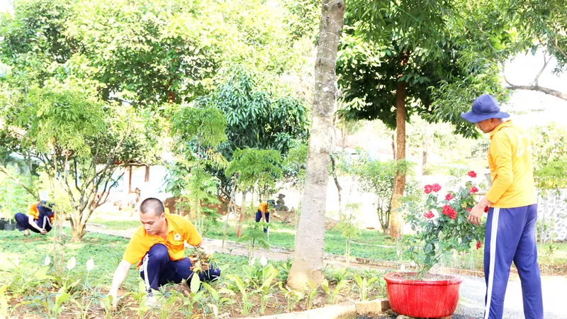 Xuân ấm ở các cơ sở cai nghiện