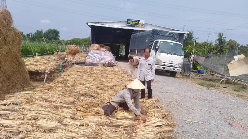 Những bàn tay dệt nên cuộc đời