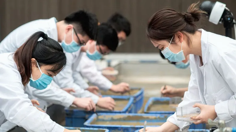 Các nhà khoa học Trung Quốc gieo trồng giống “lúa Mặt trăng”