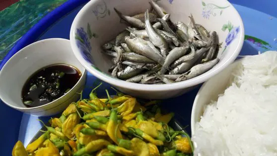 Tin đâu như sét đánh ngang: Quà cá linh