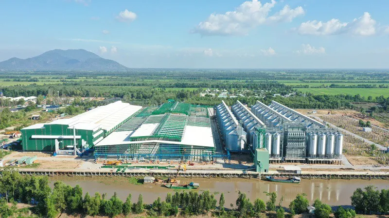 Hướng đi mới của ngành lúa gạo