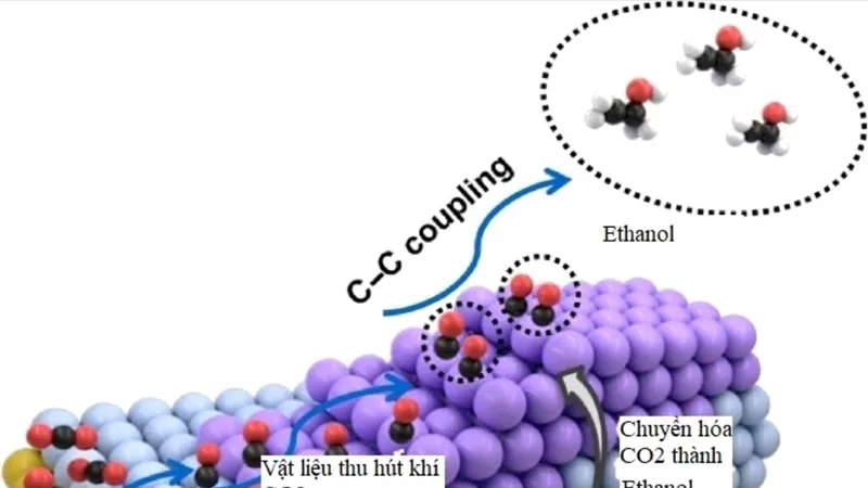 Vật liệu thu giữ khí CO2