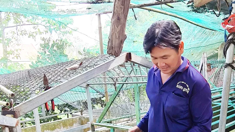 Vị ngọt Cánh đồng hoang