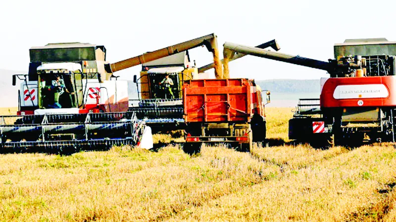 WTO: Tăng trưởng thương mại toàn cầu giảm 50%