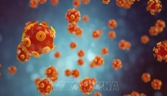 Hình ảnh mô phỏng virus gây bệnh viêm gan. 