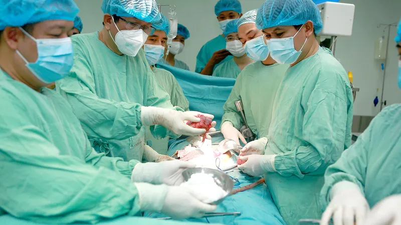 Hai cuộc đời tái sinh từ tạng người chết não 