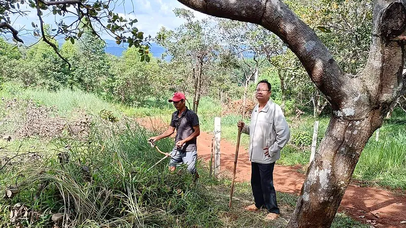 Bỗng dưng bị tranh chấp đất