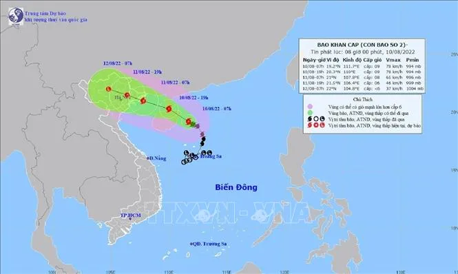 Tin bão khẩn cấp: Xuất hiện cơn bão số 2