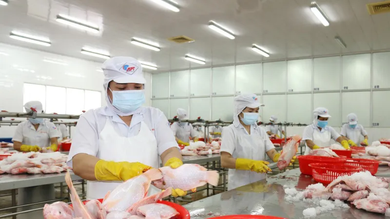 8 tháng đầu năm, xuất siêu 3,96 tỷ USD