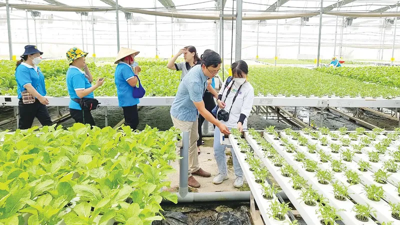 Nhà nông thời 4.0