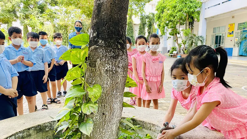 Lan tỏa mô hình “Trường học xanh”