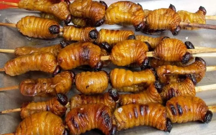 Côn trùng được xem là thực phẩm tương lai