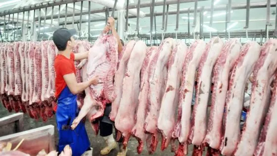 Đảm bảo nguồn cung thịt heo