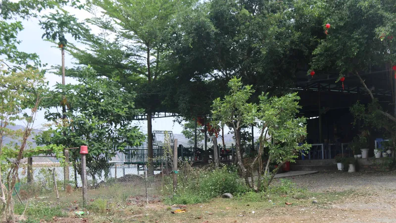 Bát nháo lấn chiếm ao hồ, hành lang đường bộ