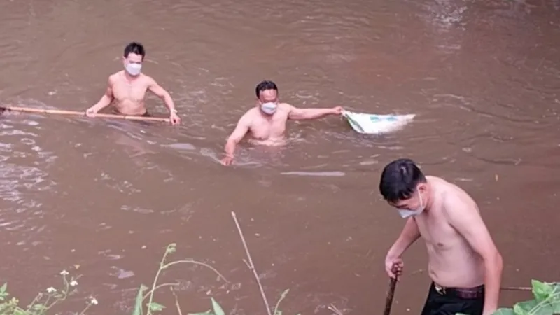 Đồng Nai: Vớt heo chết, xử lý ô nhiễm ở suối Râm 
