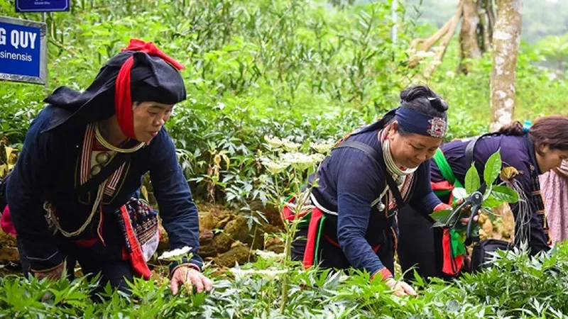  Đồng bào dân tộc thiểu số ở Hà Nội được quan tâm kịp thời, hỗ trợ hiệu quả