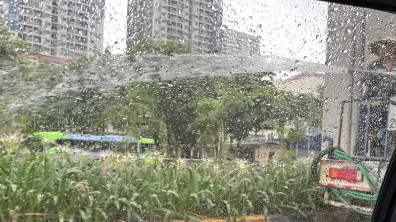 Hà Nội khẩn trương làm rõ vụ dùng xe bồn tưới cây dưới mưa tầm tã