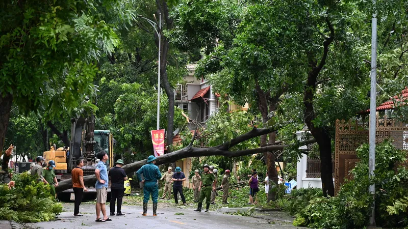 Giải tỏa xong cây đổ, gãy cành trên các tuyến phố của Hà Nội trước ngày 12-9