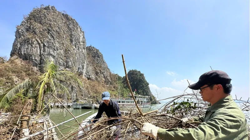 Thu dọn rác thải, cành cây bị gãy đổ tại các đảo trên Vịnh Hạ Long sau bão