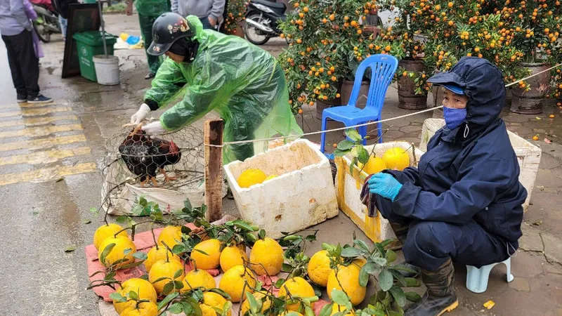 Tấp nập, đủ đầy và rực rỡ chợ quê ngày giáp tết 