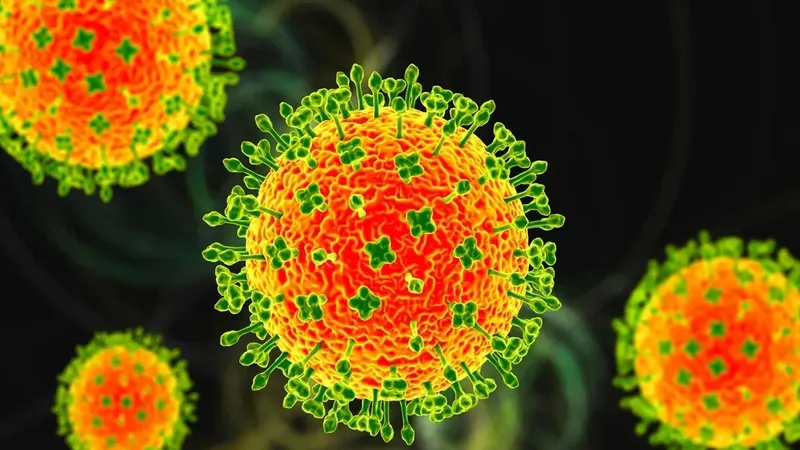 Bộ Y tế yêu cầu khẩn cấp củng cố các đội phản ứng nhanh ứng phó virus Nipah